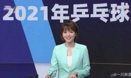 小蔡爆料解说视频全集,揭秘幕后真相与精彩瞬间